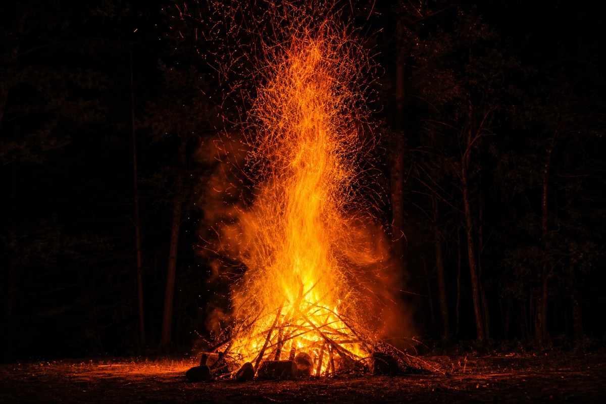 bonfire illuminating dark forest scene, sparks flying upward.
